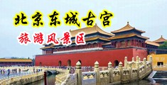 内射白妞白虎馒头屄精液编辑com中国北京-东城古宫旅游风景区